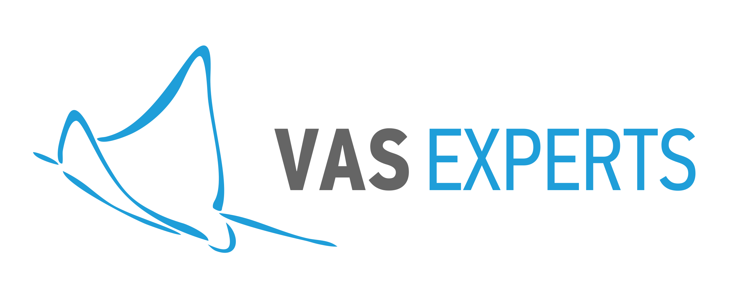 VAS Experts